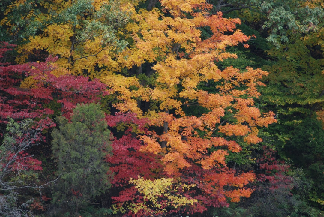 Photo fall trendy colors